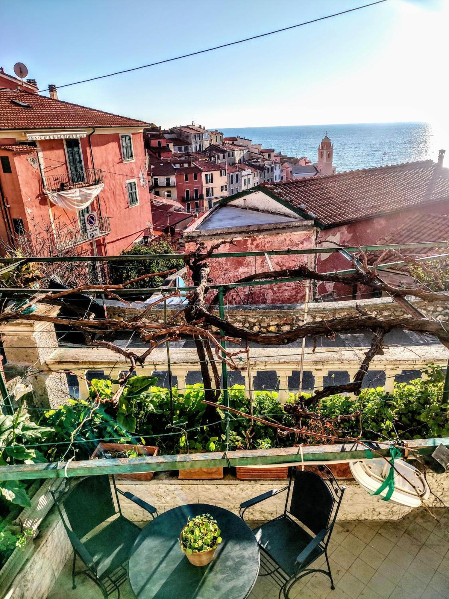 -La Terrazza Nel Vigneto- Golfo Dei Poeti Appartement Tellaro Buitenkant foto